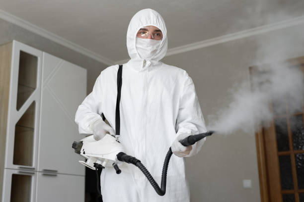 Best Mold Odor Removal Services  in Dundas, MN